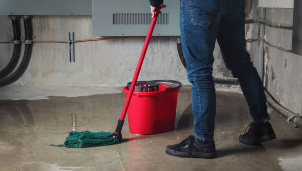  Hobe Sound, FL Water damage restoration Pros