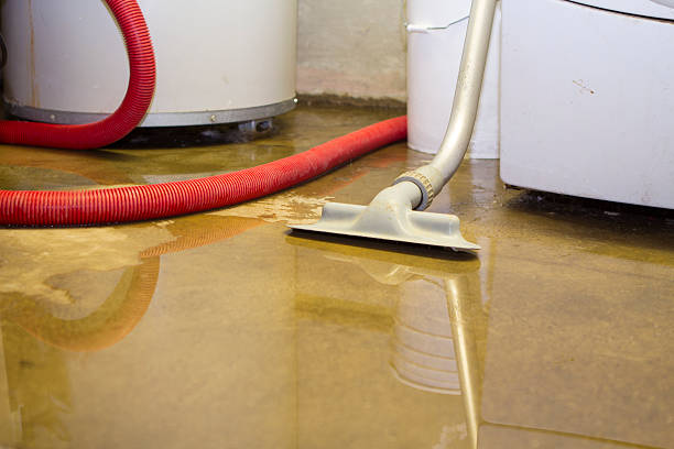 Best Water damage restoration company  in Hobe Sound, FL