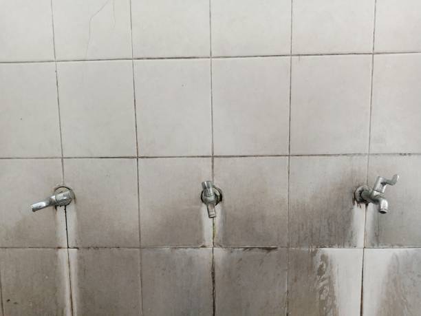 Best Ceiling water damage repair  in Hobe Sound, FL