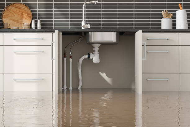 Best Water damage contractors near me  in Hobe Sound, FL