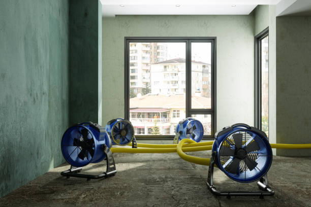 Best 24/7 water damage repair  in Hobe Sound, FL