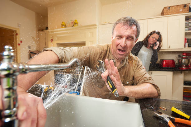 Best Water damage contractors near me  in Hobe Sound, FL